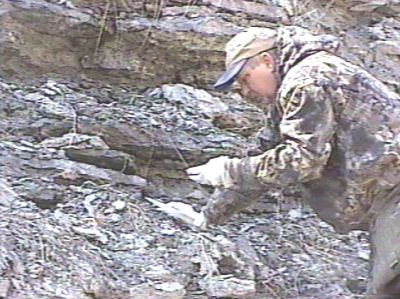 geo055.jpg