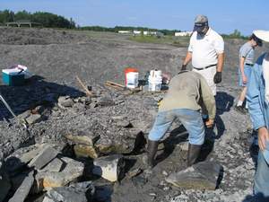 Prying Another Shale Block Loose.jpg