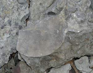 Picture 29