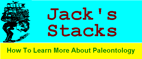 Jack's Stacks Logo