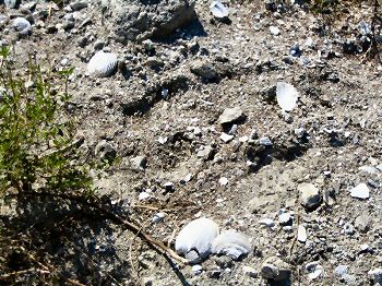 IMG_1680.jpg
