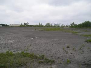 P1010031.jpg