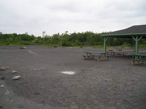 P1010032.jpg