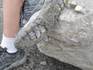 P1010038.jpg