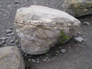 P1010039.jpg