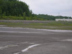 P1010041.jpg
