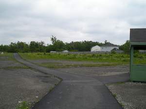 P1010047.jpg