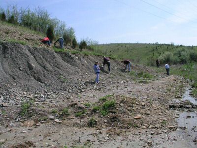P1013307.JPG
