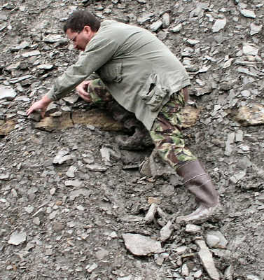 PA234806.JPG