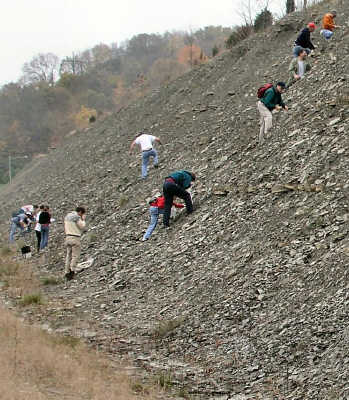 PA234820.JPG