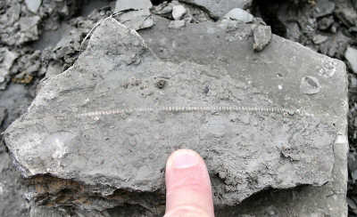 PA234844.JPG