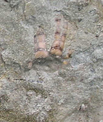 PA234955.JPG