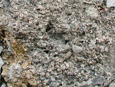 PA234970.JPG