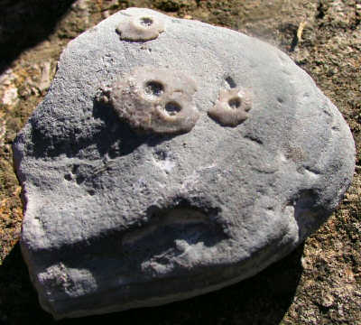 PA245131.JPG