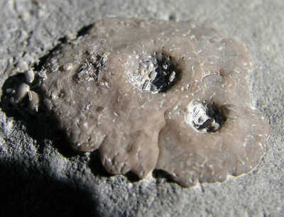 PA245145.JPG