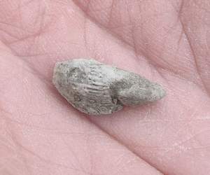 P1010131.jpg